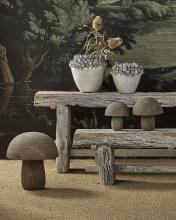 Images Shw3000-0305_11.jpg